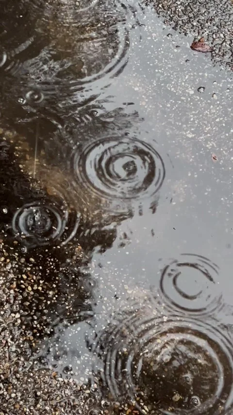 Water Ripples on a Surface in a Puddle from Raindrops in a Rain Storm Stock Footage 308562171