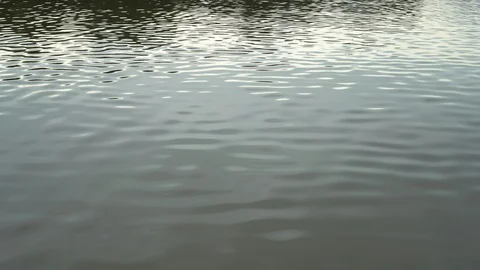 Water ripples surface in river. Vídeos de archivo 97781108