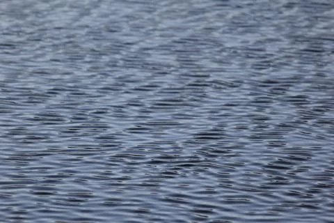 Water Ripples Texture Stock Photos