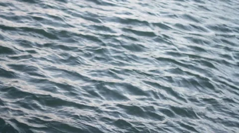 Water Rippling Focus Pull Stock Footage 50242707