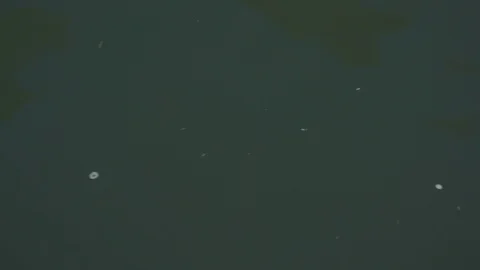 Water rippling Stock Footage 103815523