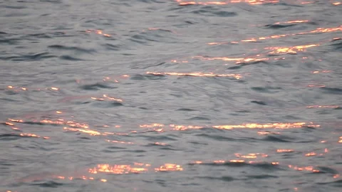 Water rippling nature  Stock Footage 101025929