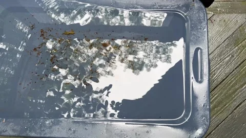 Water rippling on a plastic storage container lid with tree reflections Stock Footage 340830883