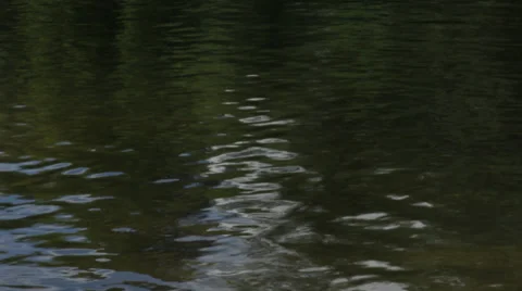 Water Rippling on River 스톡 동영상 34080023