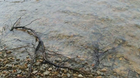 Water rippling on the shore Stock Footage 133368833