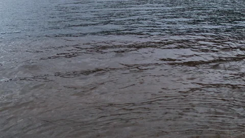 Water rippling at the shore Stock Footage