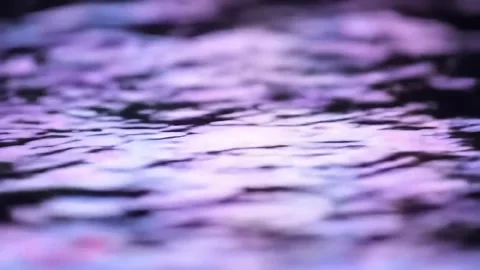 Water Rippling on Surface with Pink and Purple Lighting Abstract Stock Footage 313367106