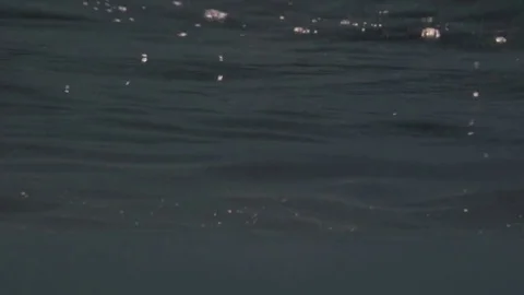 Water rippling at the surface at sunset in 60FPS Vidéo 73216238