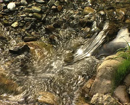 WATER river 1 Video stock 12591572