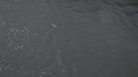 Water river 1 스톡 동영상 153544873