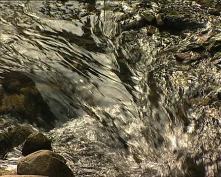 WATER river 2 Video stock 12591594