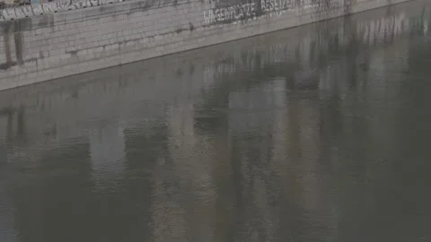 Water river 5 스톡 동영상 153546254