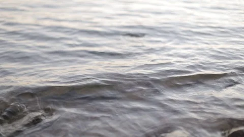 Water at river bank Stock Footage 73338341