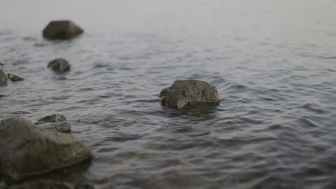 Water at river bank Stock Footage 73338344