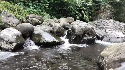 The water in the river is calming Stock Footage 302857491