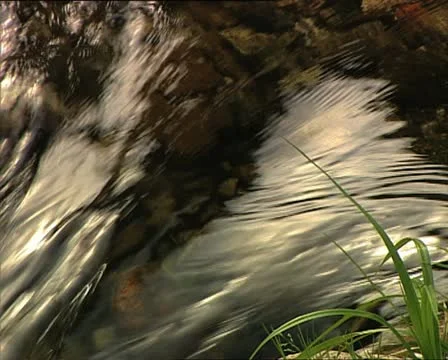 WATER river defocus Video stock 12591615