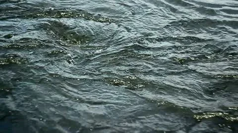 Water River Flow Stock Footage 10877683