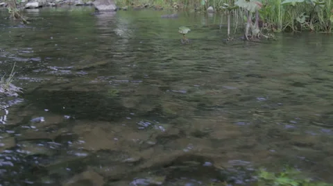 Water River Flow Stock Footage 65773910