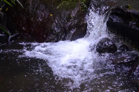 Water river flow Stock Photos