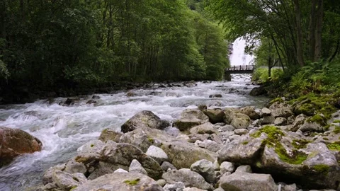 The water of a river flowing in a forest waterfall Stock Footage 219418737