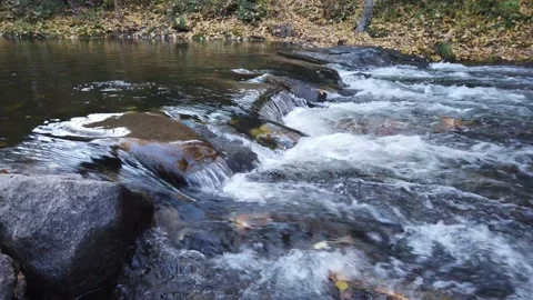 The water of a river flows in autumn Stock Footage 165559595
