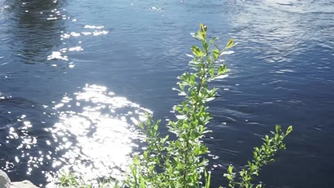 The water of the river flows Stock Footage 145425338