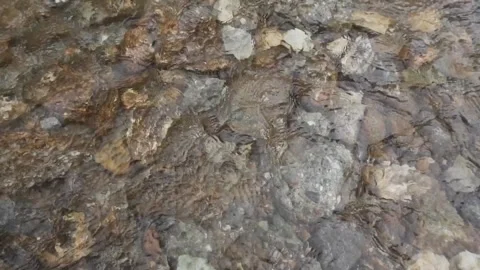 The water of the river flows slowly over the rocks Stock Footage 253219726