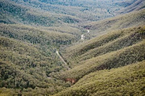 Water from a river flows through the forests full of eucalyptus trees in a .. Stock Photos