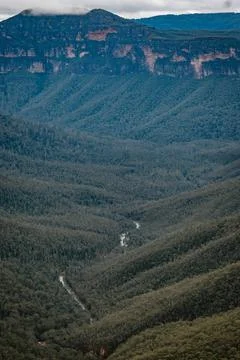 Water from a river flows through the forests full of eucalyptus trees in a .. Stock Photos