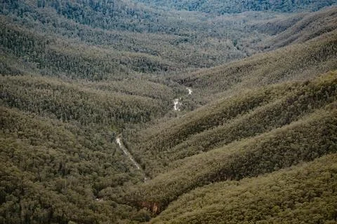Water from a river flows through the forests full of eucalyptus trees in a .. Stockfoto's