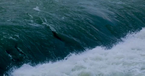 Water river flows waterfall, threshold, capturing dynamic green waves and foam. Stock Footage 297786575