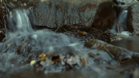 Water by the river 库存影片 607783