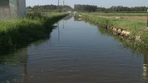 Water, river 库存影片 10831891