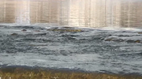 Water on the river 動画素材 37428699