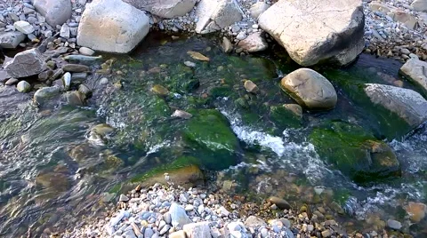 Water in a river 스톡 동영상 49205037