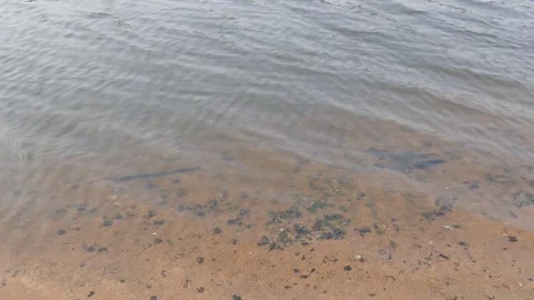 Water at the river. Stock-Footage 76348654