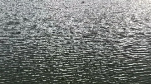 Water river Video stock 113534950