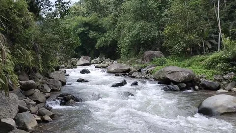 Water in the river Stock Footage 300775365