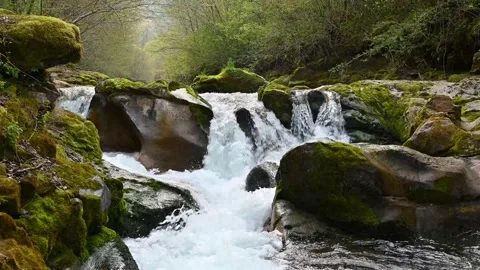 Water of the river Stock Footage 306548151