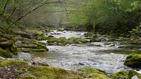 Water of the river Stock Footage 306548157