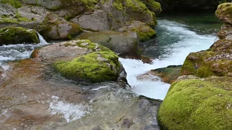 Water of the river Stock Footage 306548175