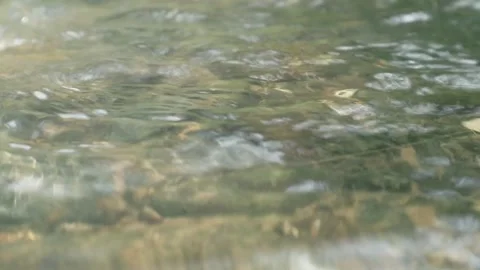 Water river Stock Footage 341857548