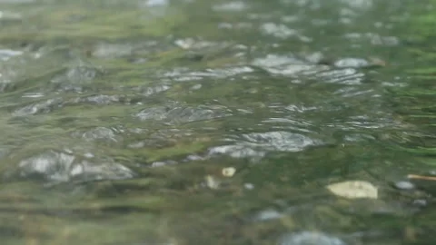 Water river Stock Footage 341857577
