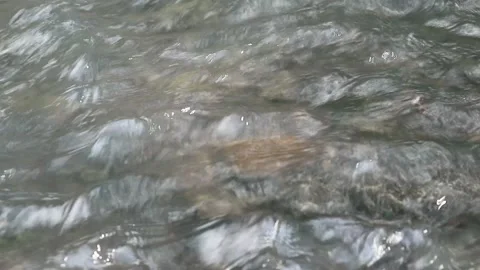 Water river Stock Footage 341857598