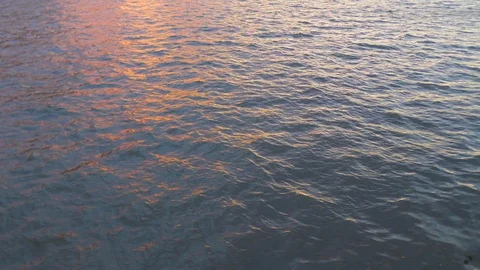 Water of river full screen view, green leaves on surface and sunset view Stock Footage 111268207