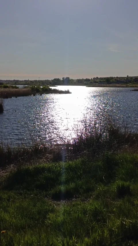 The water in the river glitters in the sun in summer Stock Footage 336183227