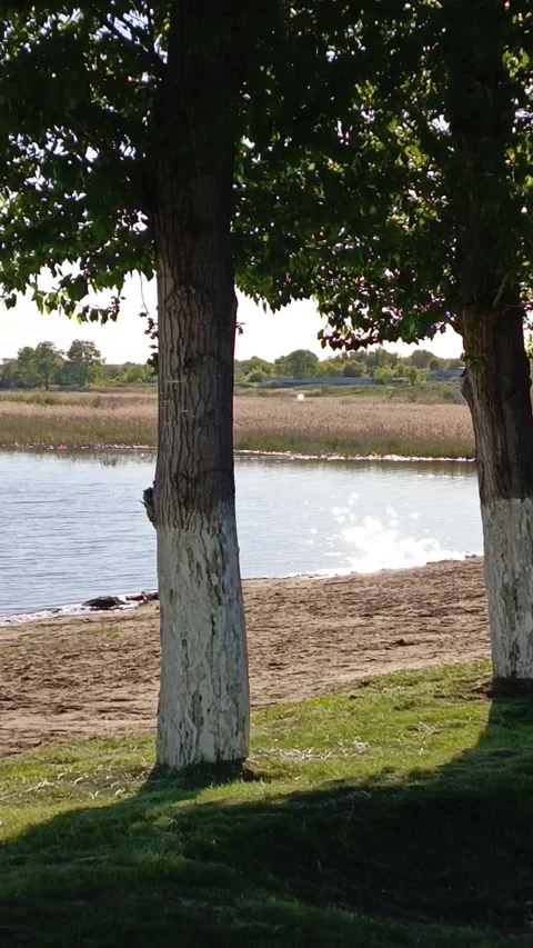 The water in the river glitters in the sun in summer Vídeo Stock 336183235
