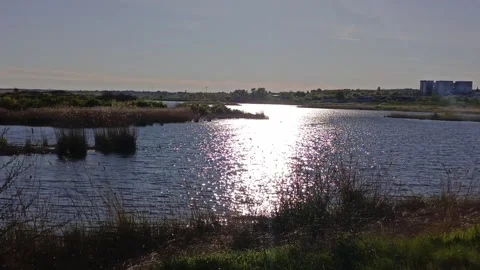 The water in the river glitters in the sun in summer Видео 336183283