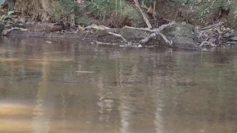 Water of a river passing with rocks in the background 動画素材 104310918