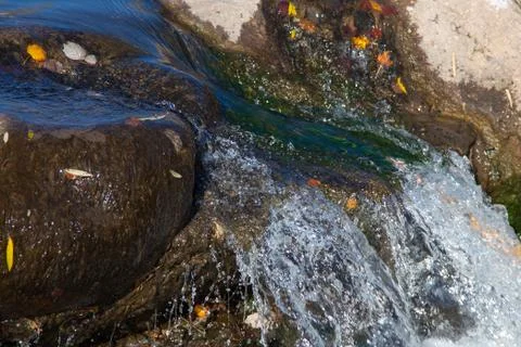Water river Stock Photos